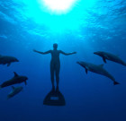 ‘The Cove’ draws Pinoy environmentalists