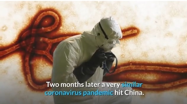 coronavirus pandemic.jpg
