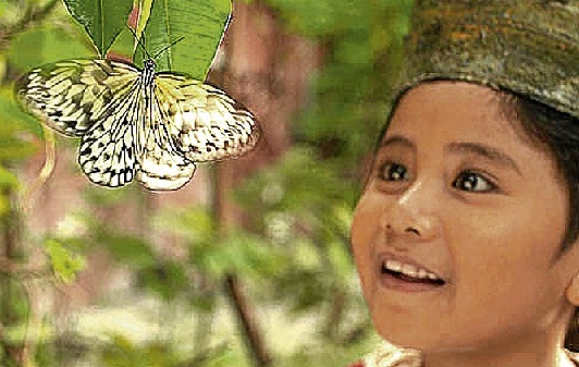 The butterfly-chasing boy in Nino.