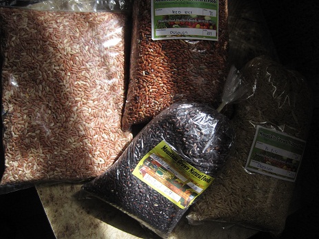 Examples of heirloom rice with their names in one of the Cordillera languages