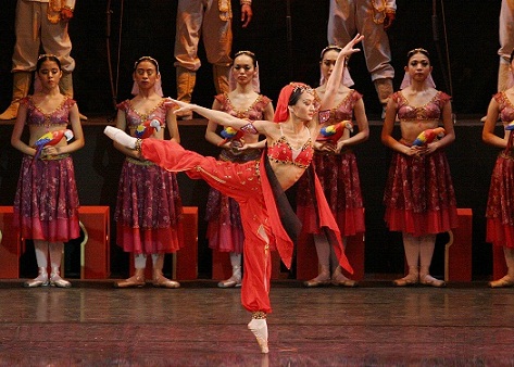 Prima ballerina Lisa Macuja-Elizalde essays the role of Nikiya in La Bayadere for the very last time.