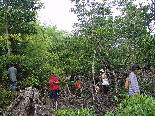 A Lesson From Sri Lanka On Saving Mangroves VERA Files