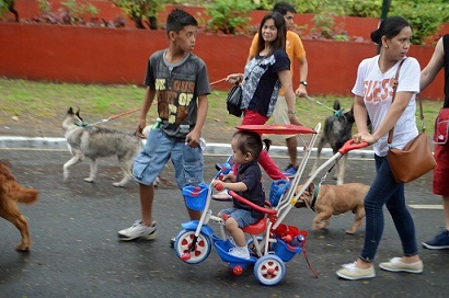 Starting them young.Photo by Paula Bautista.