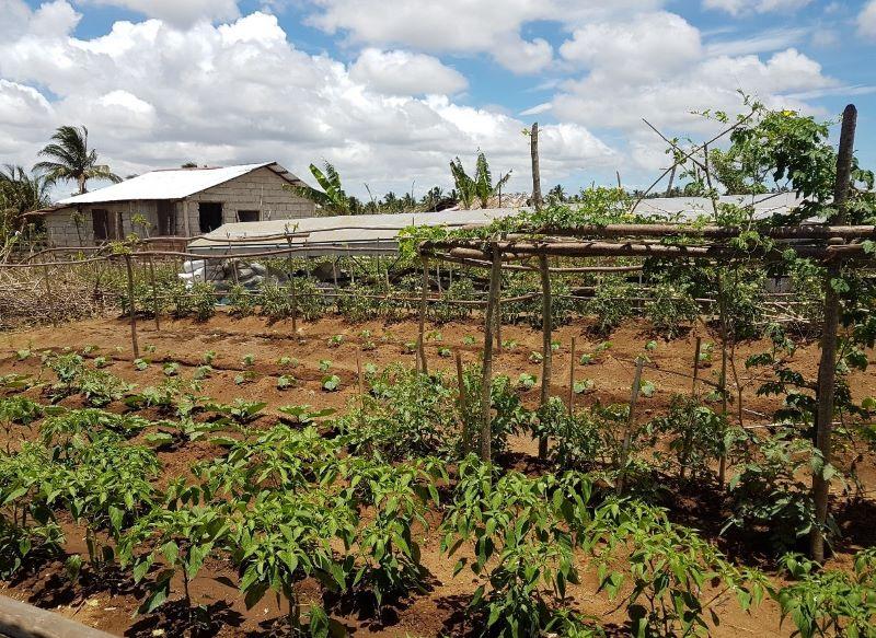 write a reflection essay on how the monsoons affect the filipino farmers