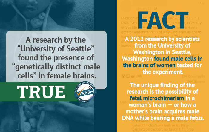 Claim 1: A research by the “University of Seattle” found the presence of “genetically distinct male cells” in female brains.