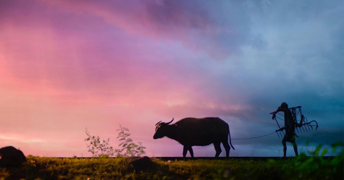 write a reflection essay on how the monsoons affect the filipino farmers