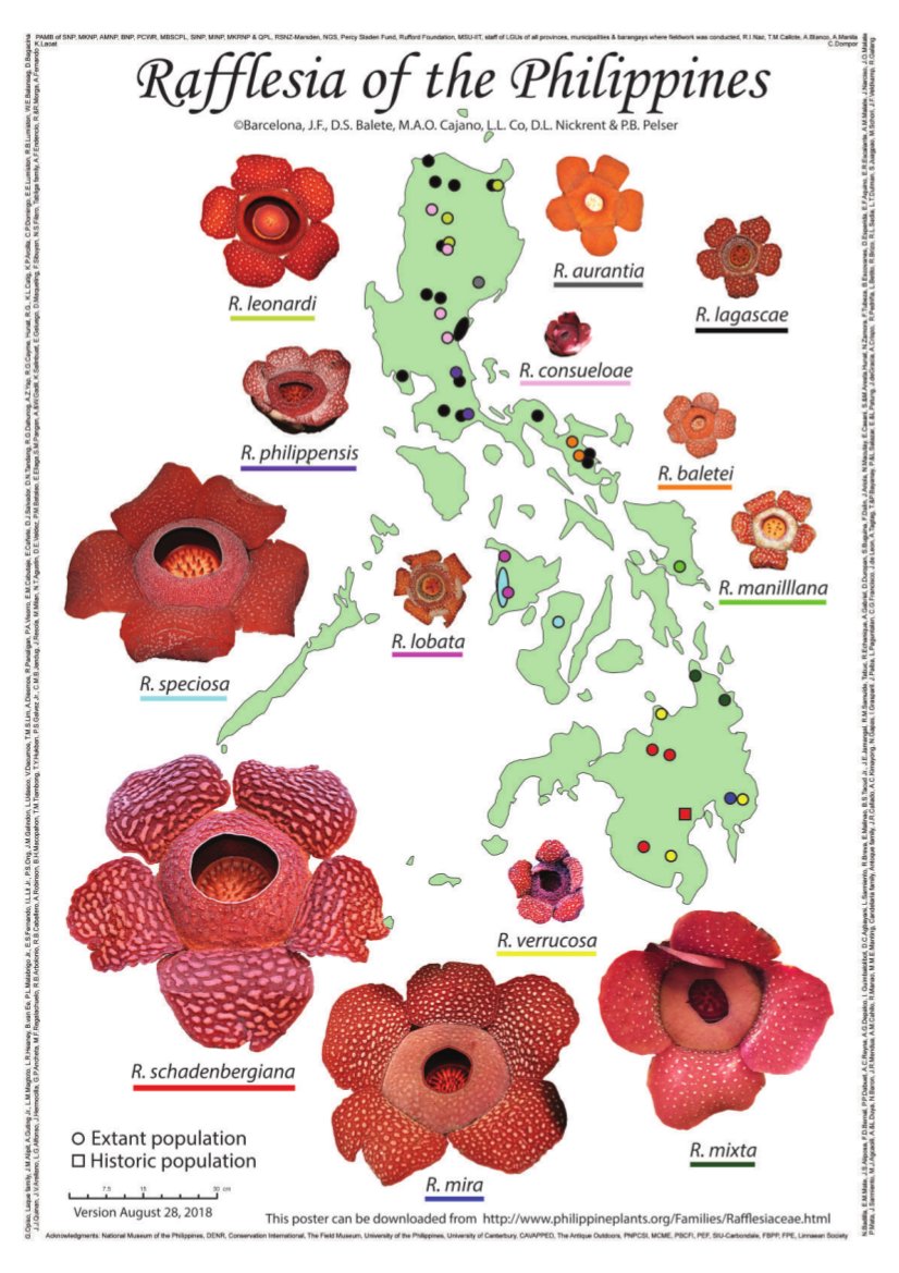 Philippine Rafflesia Map, 28 Aug 2018