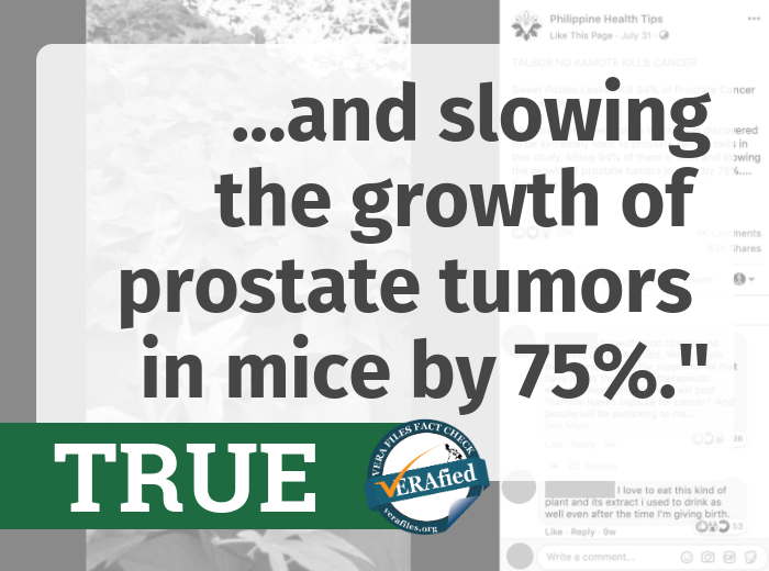 On sweet potato extract slowing the growth of prostate tumors in mice by 75%- True