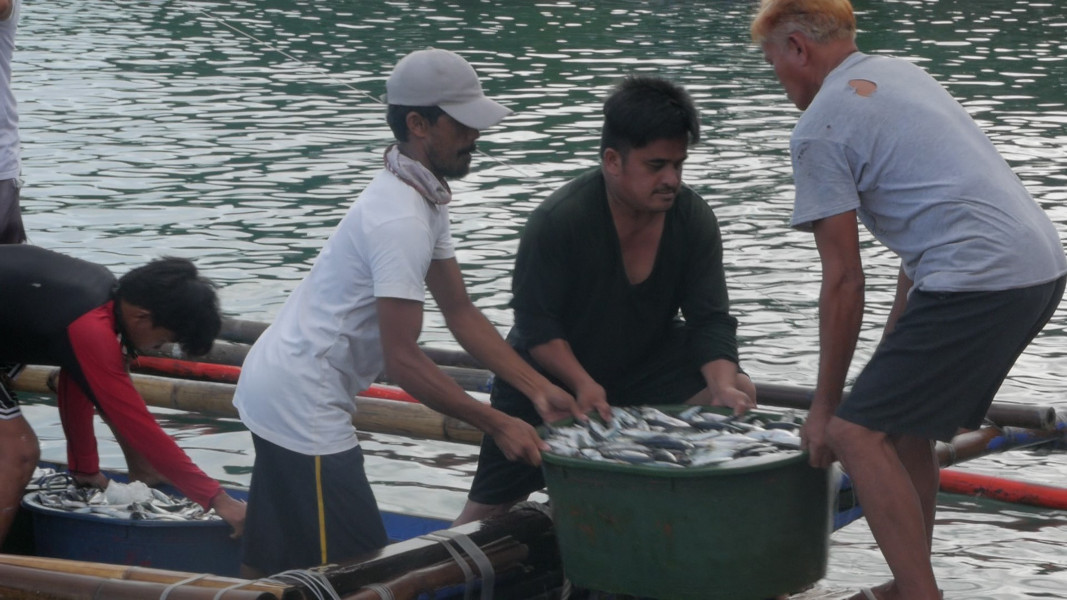 Fish arrive in vats at the Causeway Market in Tagbilaran.