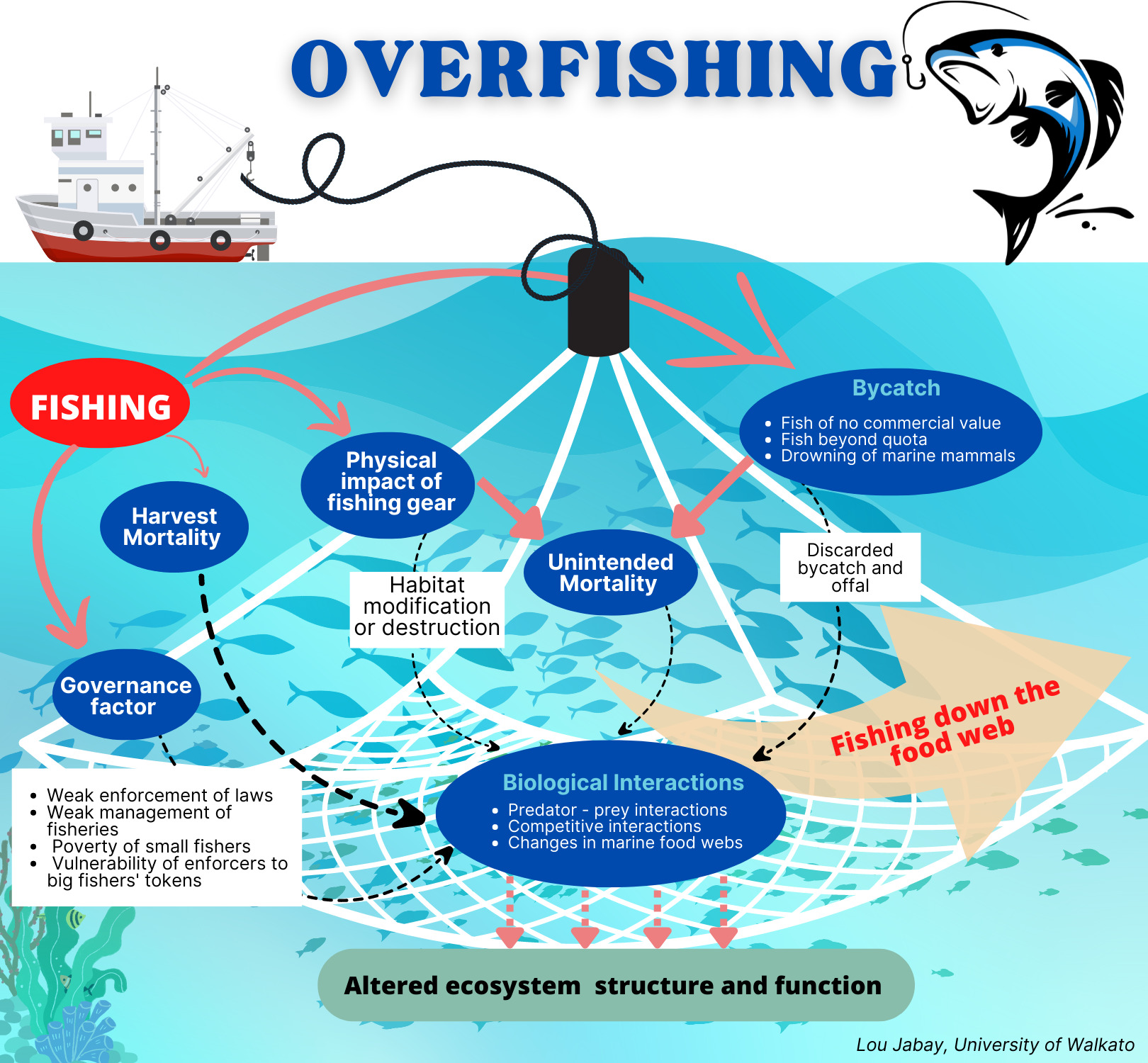 Overfishing Poster