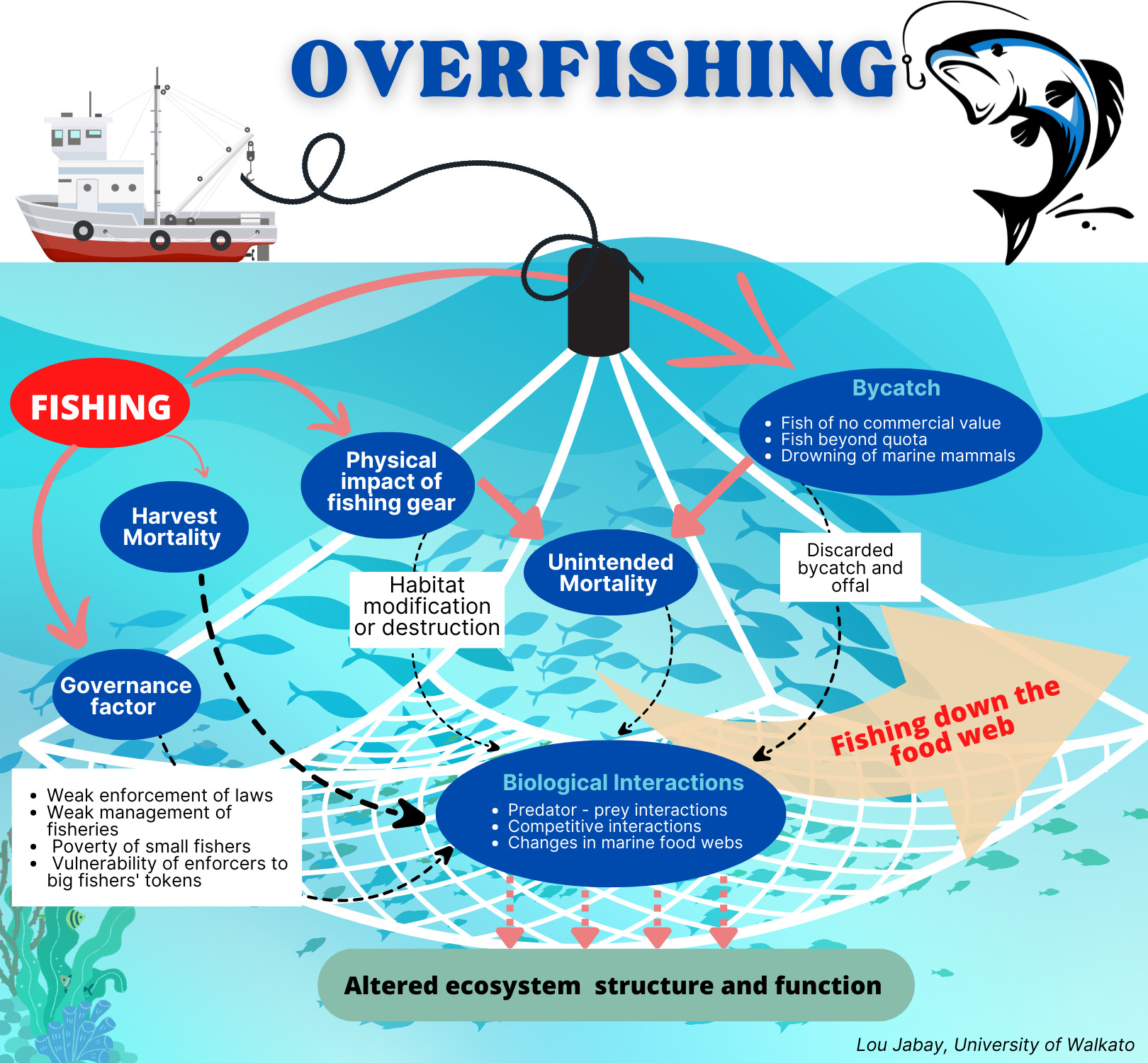 Diminishing Catch in Overfished Bohol Waters VERA Files