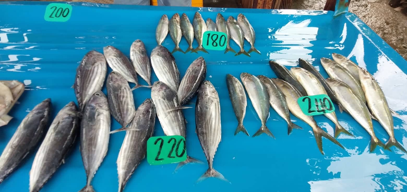 Fish being sold in a stall along Baclayon town road