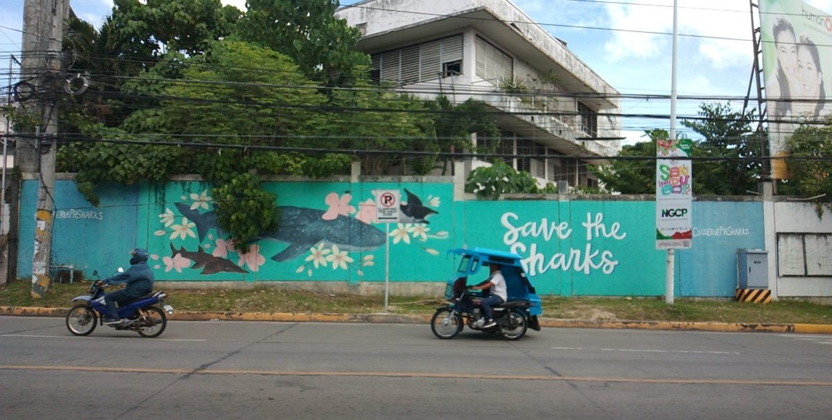 Save the Sharks Mural in Bohol