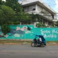 Save the Sharks Mural in Bohol