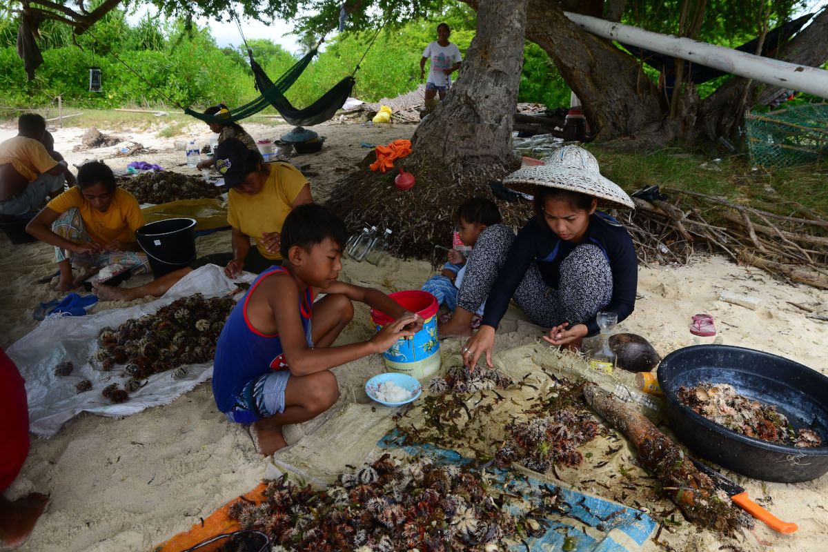 Women and children help prepare sea urchin in Pamilacan Island to augment family income. Photo Cooper Resabal.