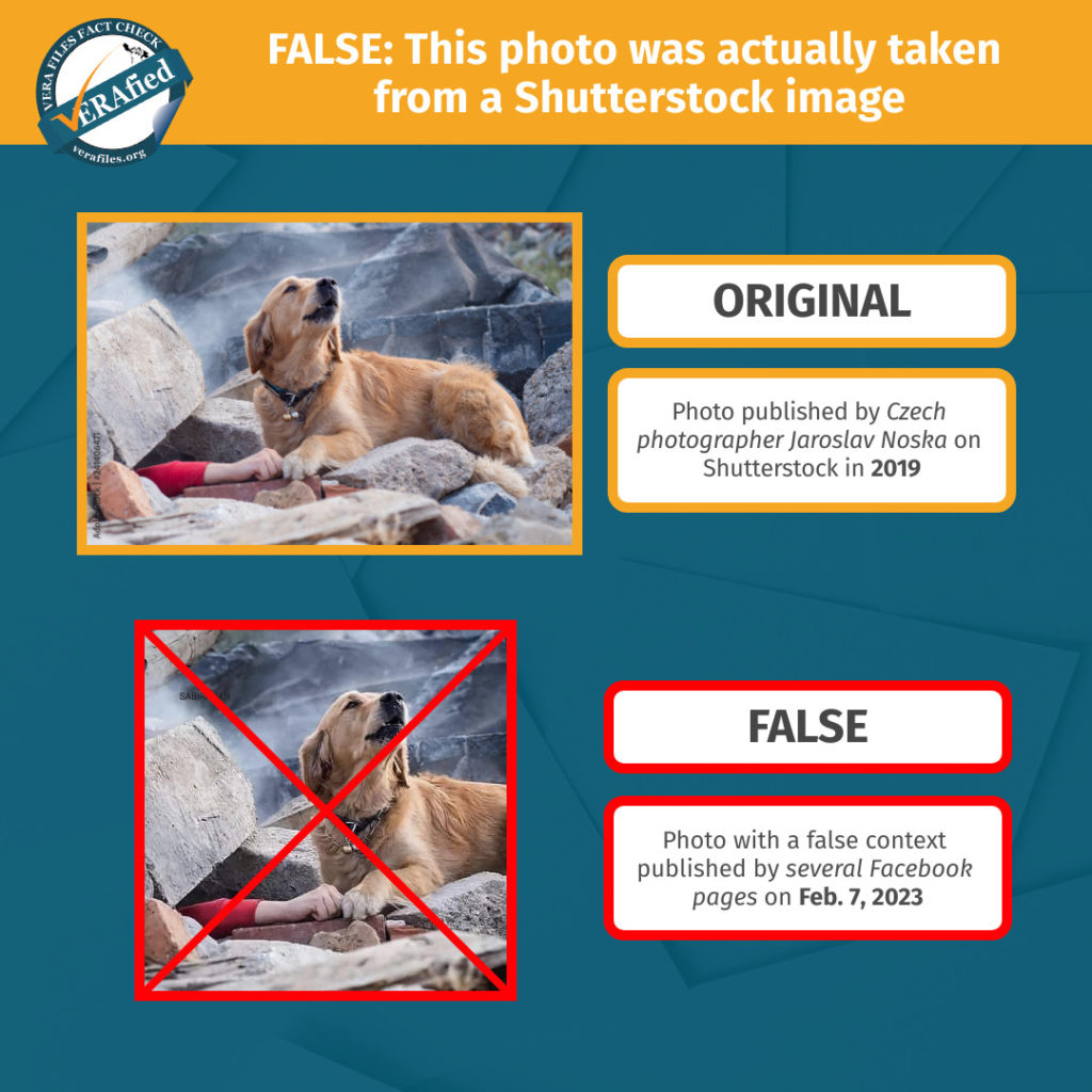 FALSE: This photo was actually taken from a Shutterstock image