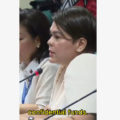VFFS-Sara Duterte-confidential funds