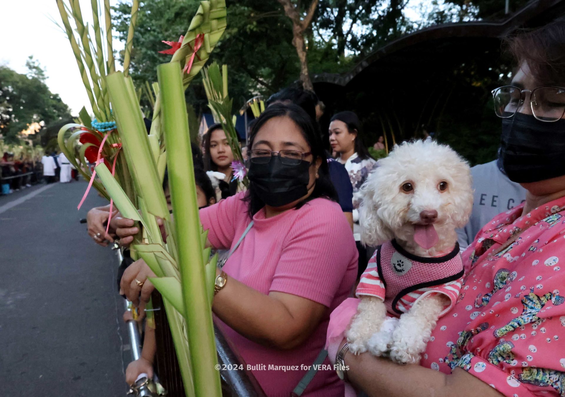 Colorful Palm Sunday marks the concluding week of Lent 13/18 Photo by Bullit Marquez for VERA Files
