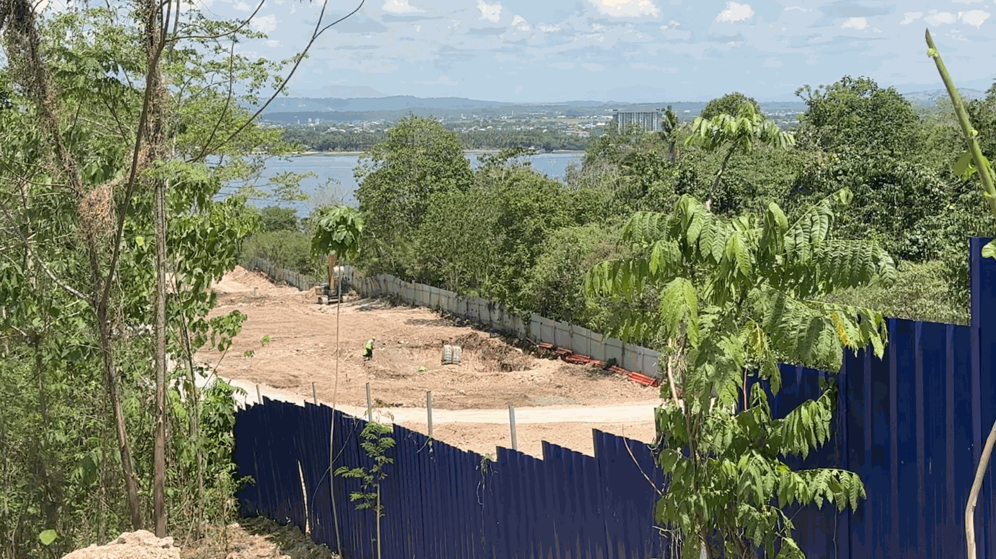 Right of way, right of nature hound Samal-Davao bridge