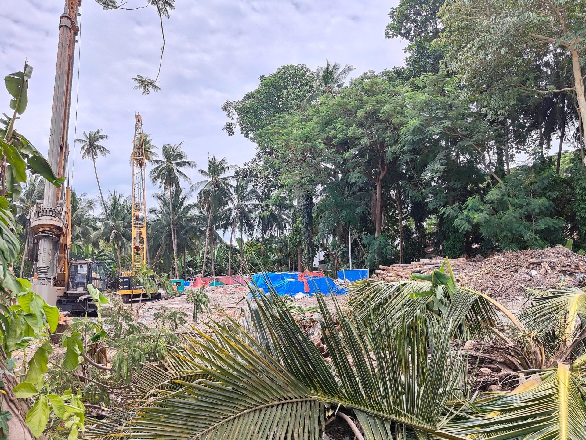 The landing site will not only destroy the coral reefs but a large swath of trees in the area. Photo: Lucelle Bonzo; Valerie Joyce Nuval