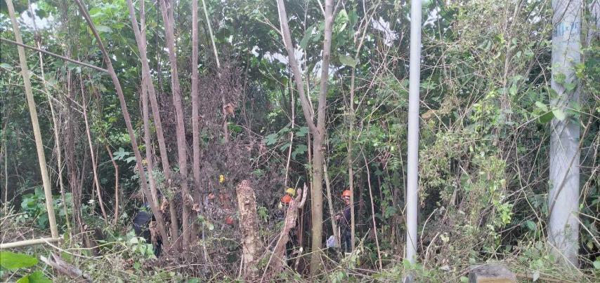 The landing site will not only destroy the coral reefs but a large swath of trees in the area. Photo: Lucelle Bonzo; Valerie Joyce Nuval