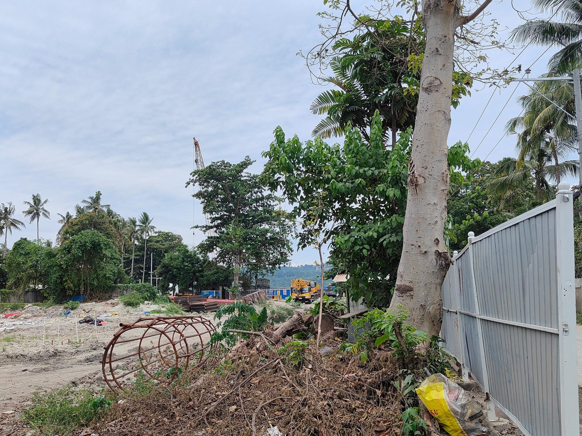 The landing site will not only destroy the coral reefs but a large swath of trees in the area. Photo: Lucelle Bonzo; Valerie Joyce Nuval