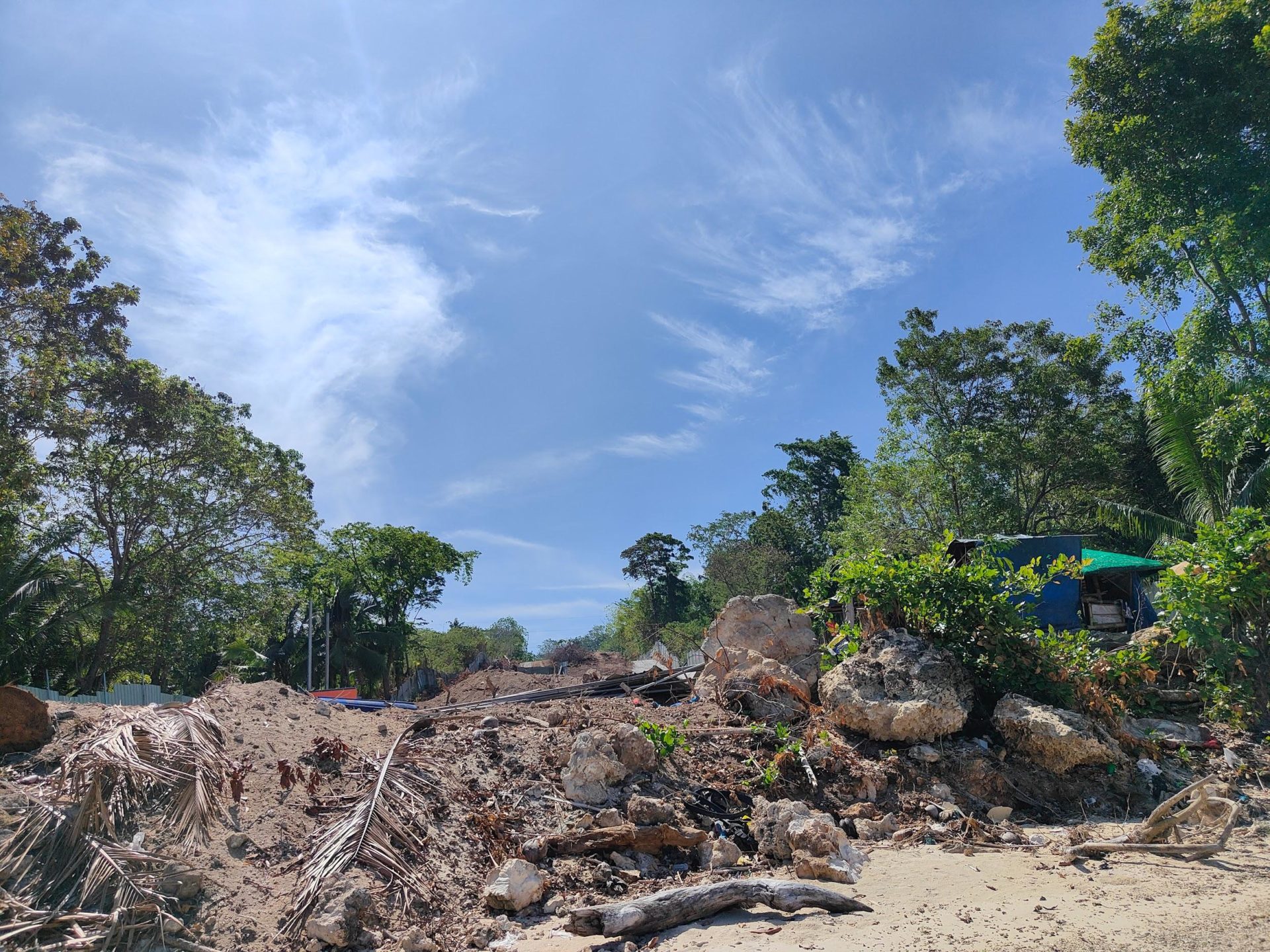 The landing site will not only destroy the coral reefs but a large swath of trees in the area. Photo: Lucelle Bonzo; Valerie Joyce Nuval