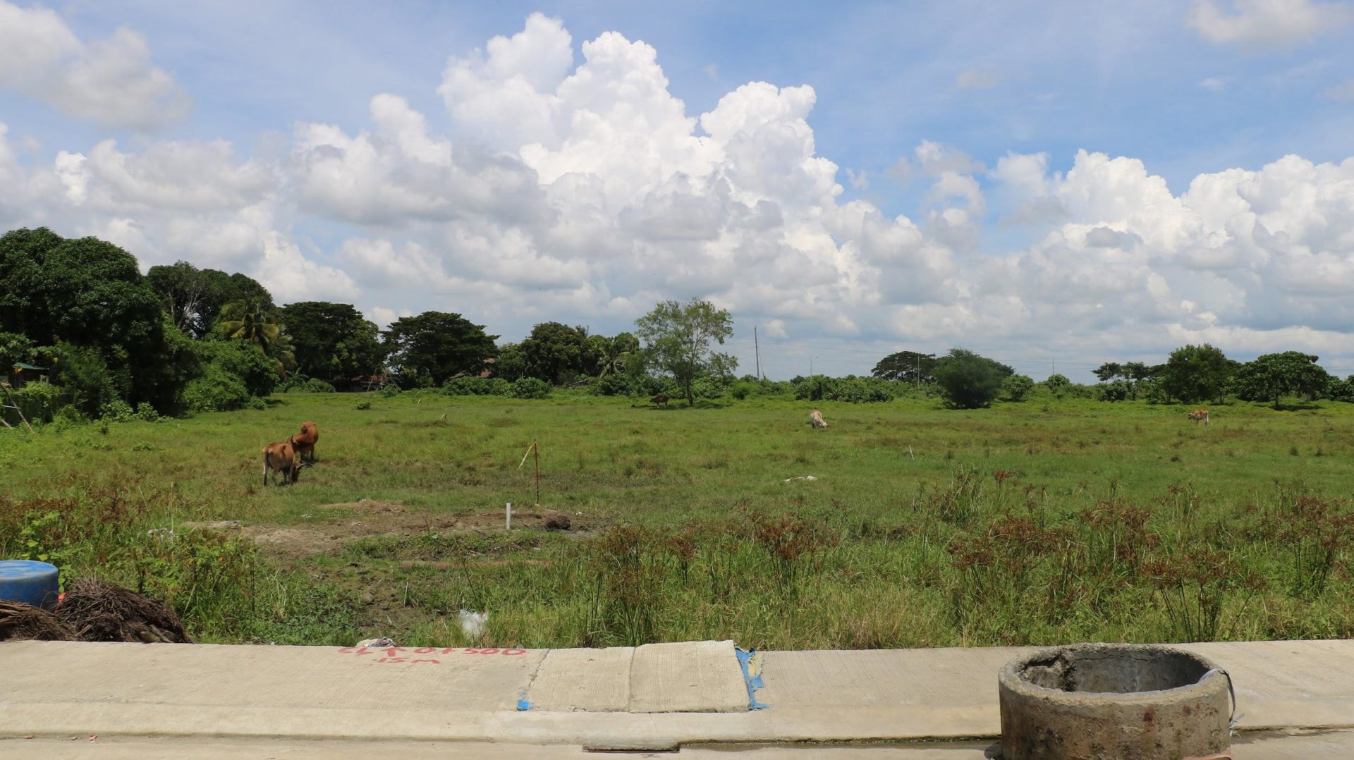 Scenes from Barangay Gua-an in Leganes, Iloilo during the project’s Detailed Engineering Design phase. Photo: Rhoanne De Guzman