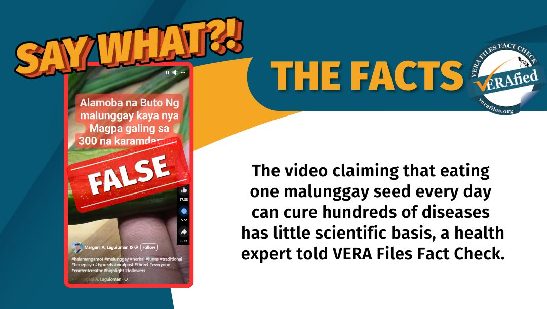 The video claiming that eating one malunggay seed every day can cure hundreds of diseases has little scientific basis, a health expert told VERA Files Fact Check.