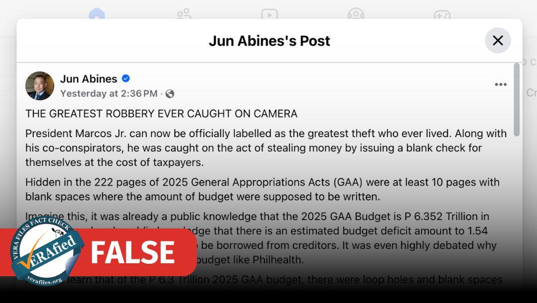 FACT CHECK: Abines wrongly claims 2025 budget law has blank spaces