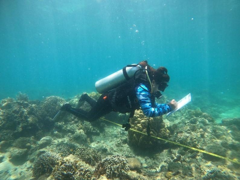 Underwater monitoring (BPEMO, 2024)