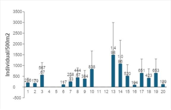 Figure 4. Species Density of Badiang MPA in year 2015-2024. (BPEMO, 2025)