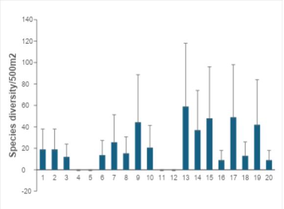 Figure 5. Species Diversity of Badiang MPA in year 2015-2024. (BPEMO, 2025)
