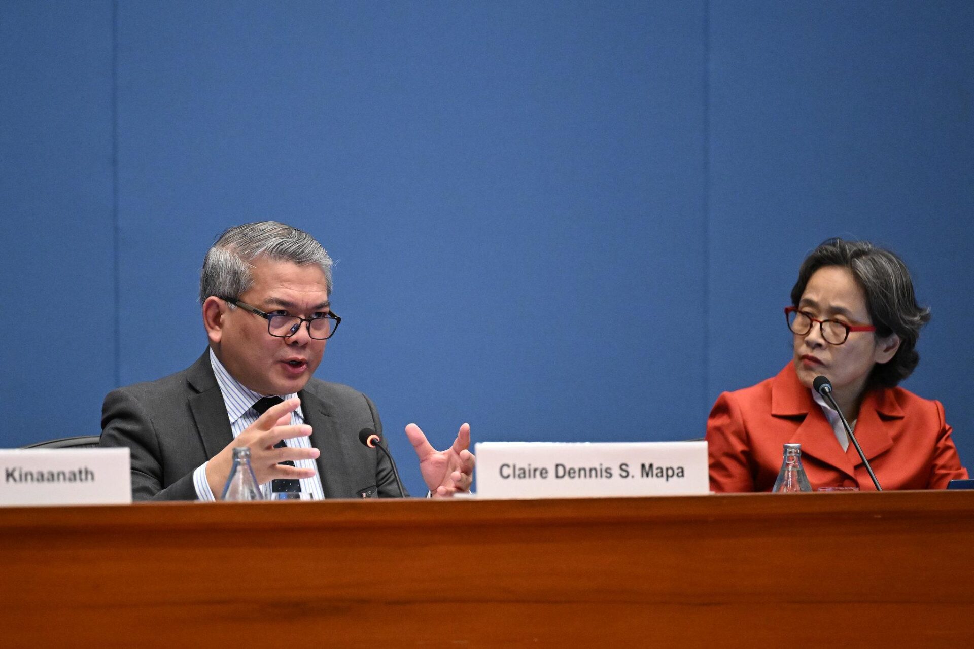 Undersecretary Claire Dennis Mapa of the Philippine Statistics Authority during the UN ministerial meeting