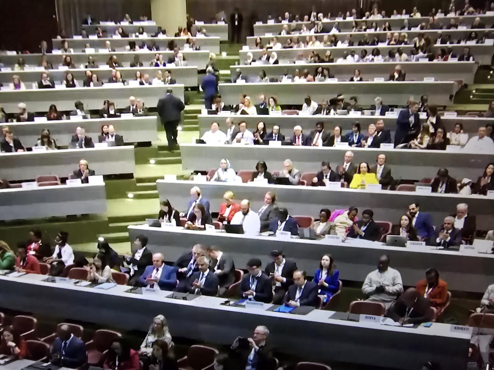 Plenary session 2, 11th COP of the WHO-FCTC, Geneva