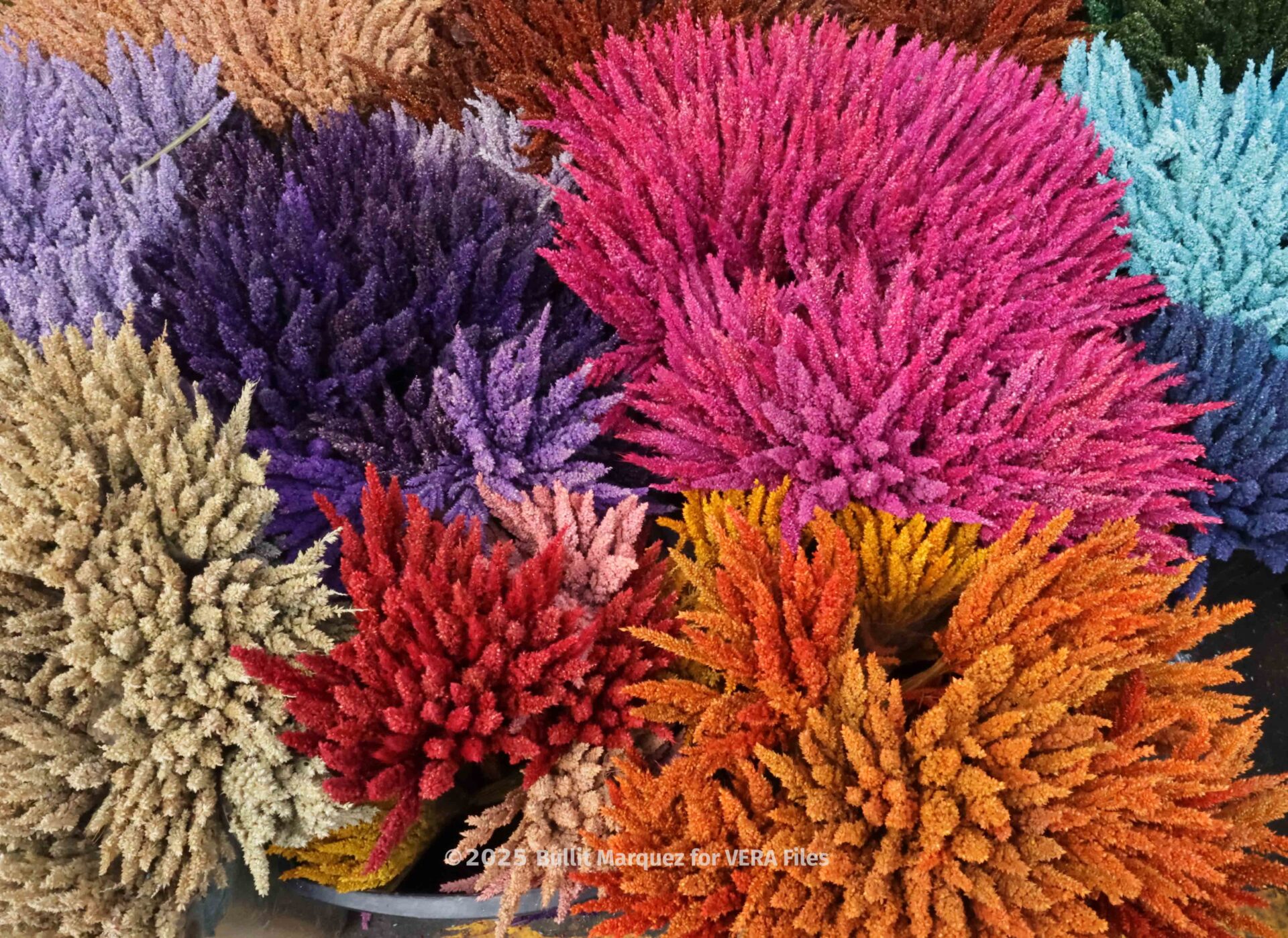 Dangwa Flower market. Photo by Bullit Marquez for VERA Files
