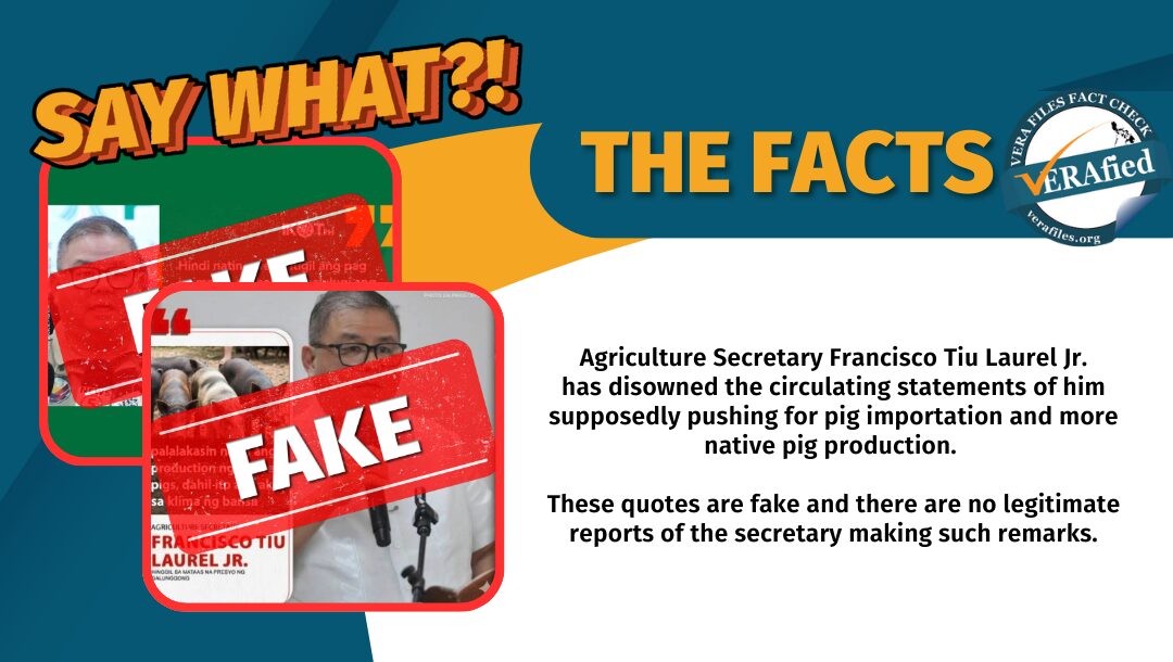 Agriculture Secretary Francisco Tiu Laurel Jr. has disowned the circulating statements of him supposedly pushing for pig importation and more native pig production. These quotes are fake and there are no legitimate reports of the secretary making such remarks. 