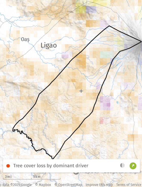 This screengrab from Global Forest Watch shows that permanent agriculture is the main driver of deforestation in Guinobatan. Logging is also identified in the Masarawag area.