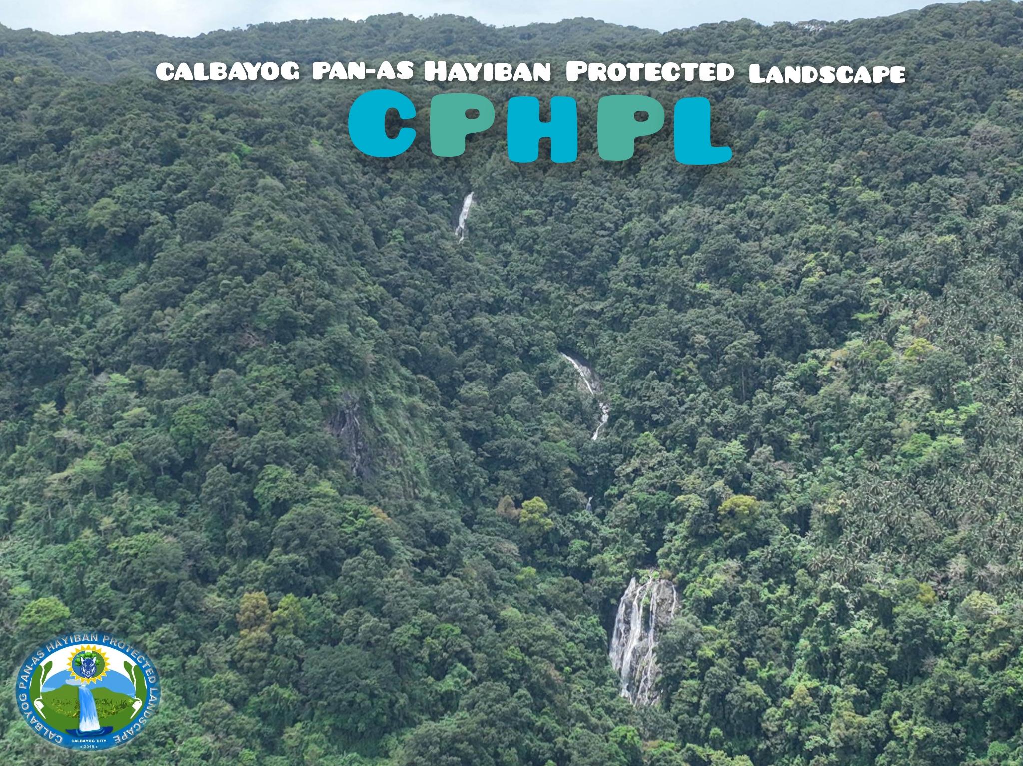 Photo from DENR-PAMB 