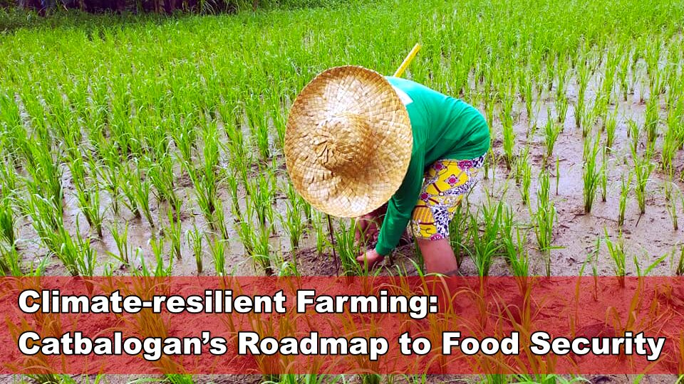 Climate-resilient Farming: Catbalogan’s Roadmap to Food Security
