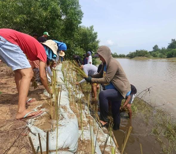 In Barangay Jonop, Malinao, Albay, vetiver bioengineering has transformed a vulnerable riverside community after its implementation last July. Photo by TABI