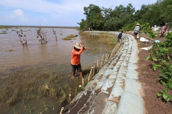 Residents preparing vetiver planting materials Photo by TABI. 