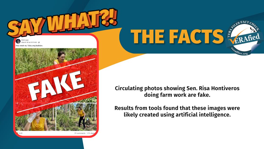 Circulating photos showing Sen. Risa Hontiveros doing farm work are fake. Results from tools found that these images were likely created using artificial intelligence.