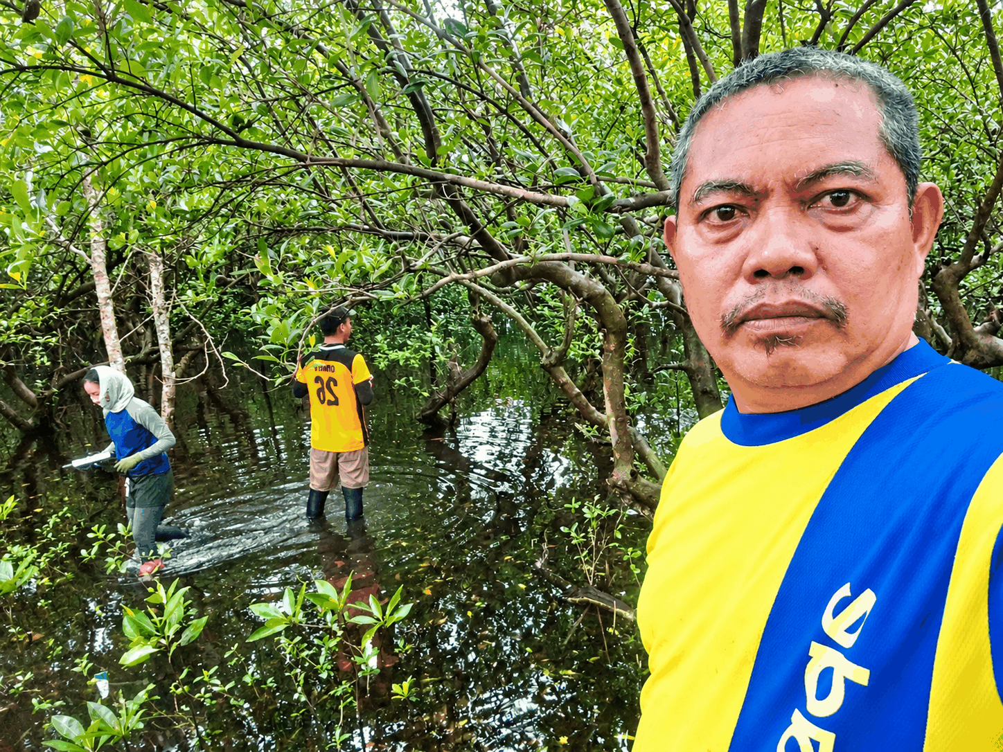 Volunteers wade through the Paraiso mangrove forest they have helped protect. 