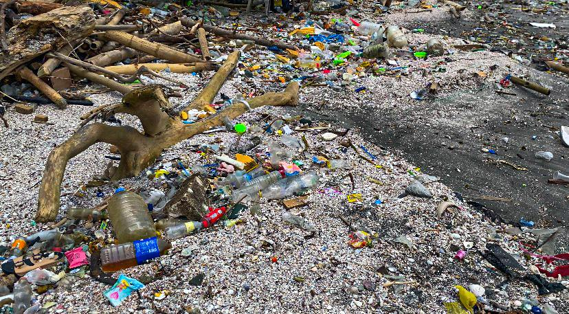 Plastic waste and other debris lay scattered across portions of the wetland. Photo by Ma. Rizza Francisco.