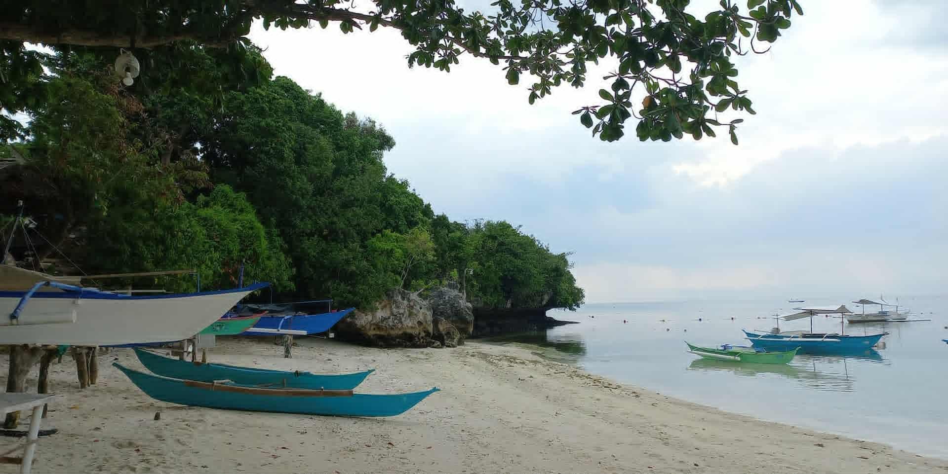 In a small sanctuary in Dauis, Bohol, fisherfolk are guardians of the sea