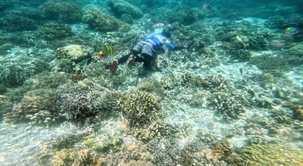 How Sumilon’s reef grapples from damage