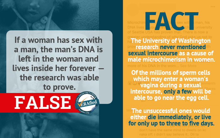 Vera Files Fact Check No A Mans Dna Will Not Live Forever In A Womans Body After They Have 1489