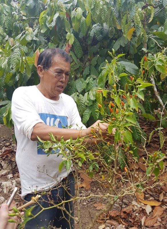 write a reflection essay on how the monsoons affect the filipino farmers