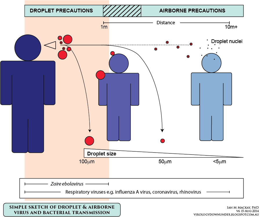 Illustration from virologydownunder.com